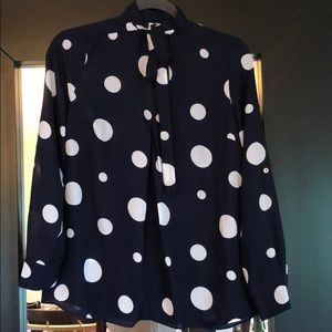 Polkadotted blue blouse